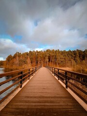 bridge over the lake