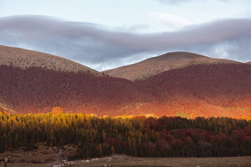 Beautiful mountain landscape of the Abruzzo Lazio and Molise National Park in autumn