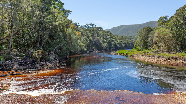 Grootrivier in South Africa's Garden Route