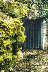 mountain cave wist moss metal gate and cobble stones