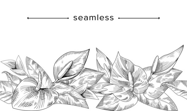 Seamless Pattern with Anthurium Flower, Doodle Composition with Palm and Jungle Leaves, Hand Drawn Tropical Border