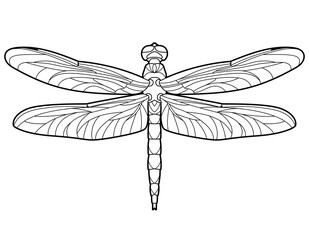Dragonfly. Outline jpeg illustration for coloring book. Antistress for adults and children. Elements for print, card, posters