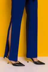 Female legs in slit pants and high heels