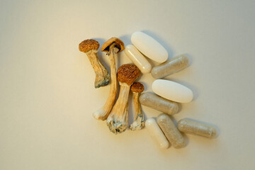 Micro dosing concept. Dry psilocybin mushrooms and herbal pills on ivory background. Psychedelic...