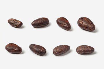 Rows of peeled texture cocoa beans