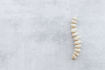 Healthy human spinal column skeleton model. Top view