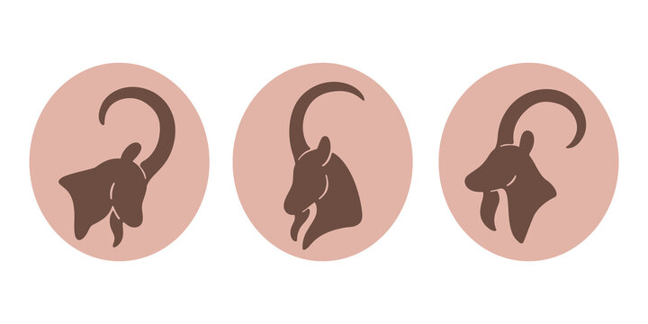 llustration of ibex head. Simple contour vector illustration for emblem, badge, insignia.