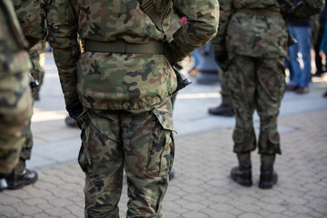 Rear view of soldiers standing in several ranks with weapons.