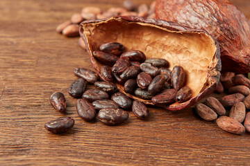 Dark raw beans in cocoa pod