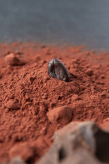 Cocoa bean in pile of raw powder