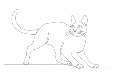 cat drawing by one continuous line, vector, isolated
