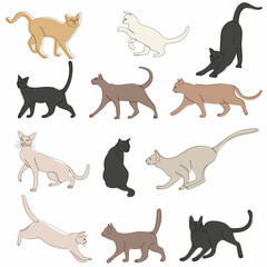 cat set sketch drawing, vector, isolated