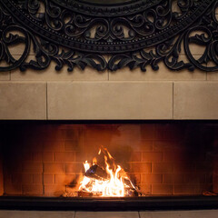 fireplace with burning logs