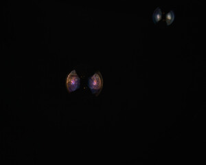 soap bubbles on a black background