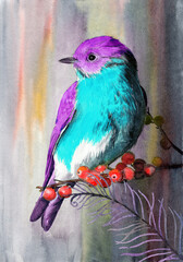 Watercolor illustration of a small bird with a purple head and blue belly on a branch with red berries