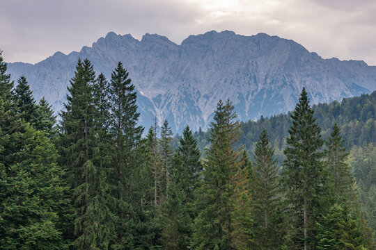 Die Berge von Südtirol / Blick ins Grüne © Sascha
