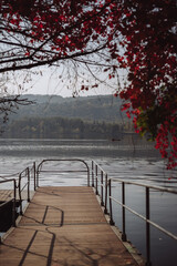 wooden bridge over the lake