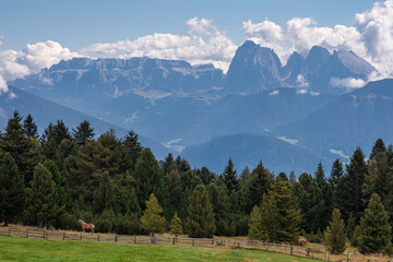 Fototapeta na wymiar Die Berglandschaft von Südtirol
