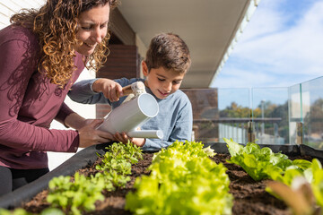 Mother and son watering vegetables in their urban garden - obrazy, fototapety, plakaty