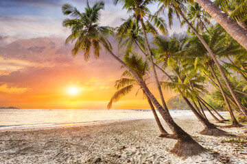 Beach in Caribbean at sunset - obrazy, fototapety, plakaty