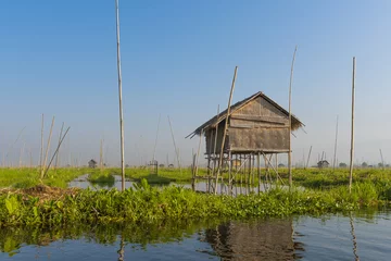 Foto op Plexiglas Floating vegetable plantation in Inle lake in Myanmar © Fyle