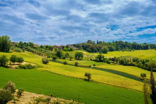 Rural landscape near Corinaldo, Marche, Italy
