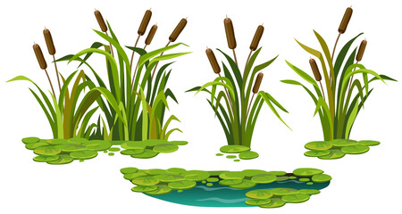 Marsh reed, grass. Set of swamp cattails, water lily in water. Vector bulrush for computer games isolated on white background. - obrazy, fototapety, plakaty