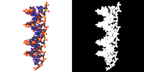 3D rendering illustration of DNA molecules