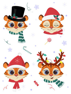 Happy New Year and Merry Christmas. A set of four tiger heads in carnival hats and scarves of Santa Claus, against a background of snowflakes and sweets. Cartoon, flat style, vector.