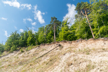 Gdynia cliff with trees in Poland at summer time.