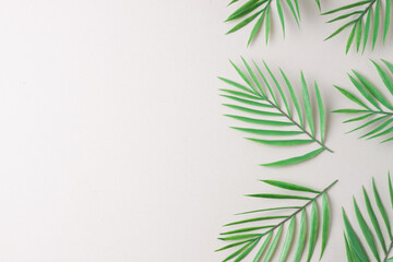 Cosmetic background with palm leaf on grey. Flat lay, copy space