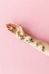 Female hand with white blossoms flowers. Beauty youth concept