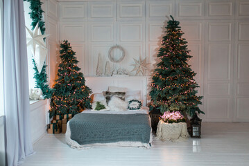 living room with christmas decorations	