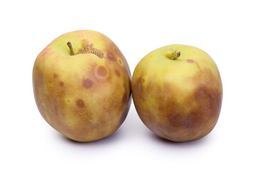 Yellow rotten apple isolated