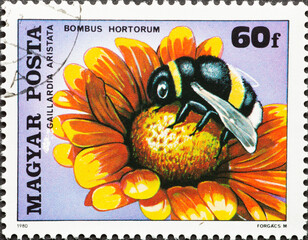 HUNGARY - CIRCA 1980: A post stamp printed in Hungary showing a Garden Bumblebee (Bombus hortorum)