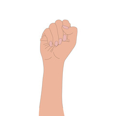 fist illustration, hand isolated on white background.