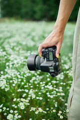 Unrecognizable woman hold digital camera in her hands on flower field landscape