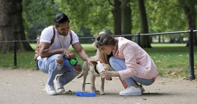 Couple giving dog a drink in public park