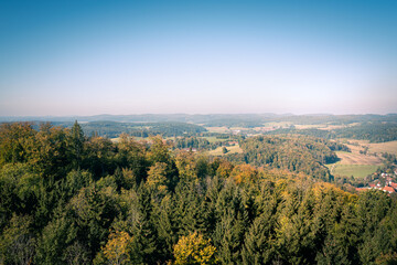 Herbstwald in der Natur