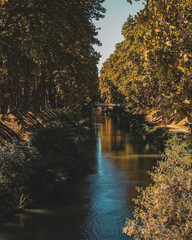 Fototapeta premium autumn in the park