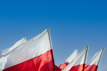 A group of red and white flags of the Polish state flutter in the wind.