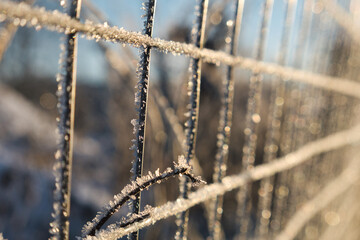 Metal square grid is decorated with frost, snowflakes and white snow