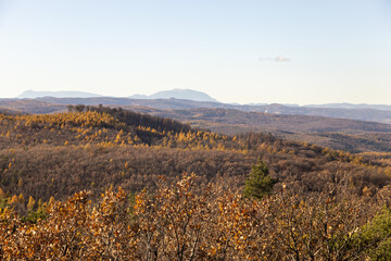 Fototapeta premium autumn in the mountains