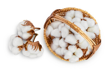 Cotton plant flower in a wicker basket isolated on white background with clipping path and full depth of field. Top view. Flat lay