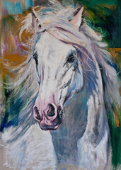 White horse head painting oil on canvas art original © Natalia