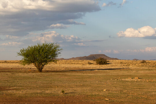 Landschaft im Tiger Canyon in der Karoo in S&uuml;dafrika