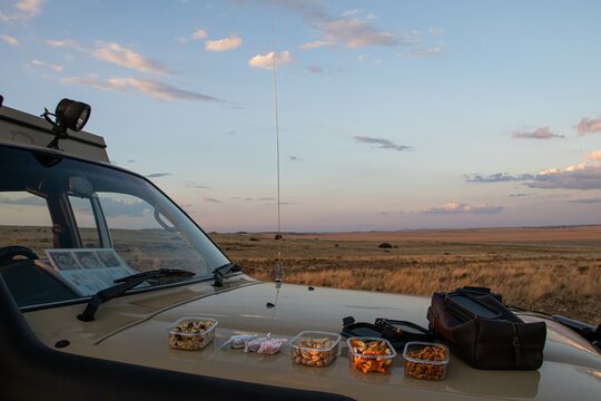 Sundowner beim Game Drive in S&uuml;dafrika