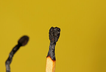 close-up extinguished matchstick on yellow background
