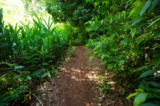 Os caminhos que nos leva a uma cachoeira