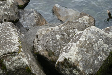 rocks at the water side